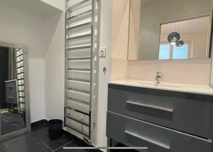 Le Canal - Proche Centre - Parking Prive - Clim *